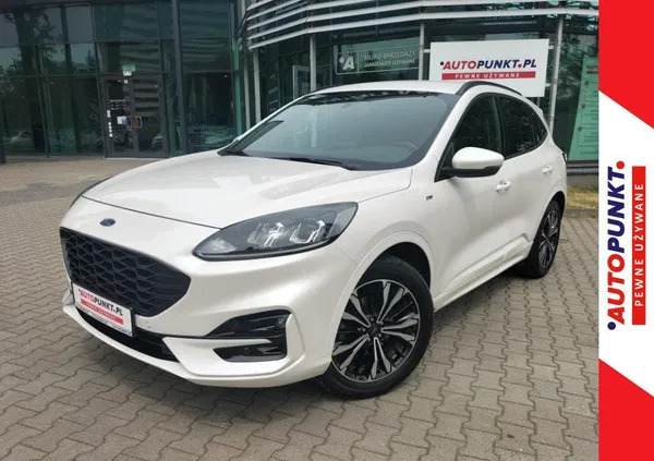 jasień Ford Kuga cena 159900 przebieg: 29429, rok produkcji 2022 z Jasień